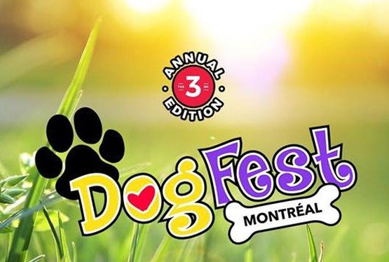 September Event Dog Fest Montreal