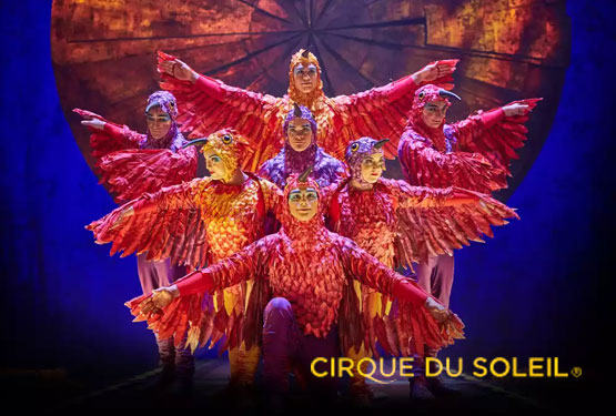 Cirque du Soleil in Montreal